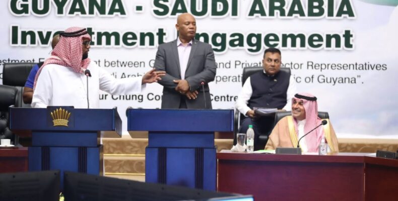 ‘We are ready’ – President implores Saudi delegation to end the talking and invest now