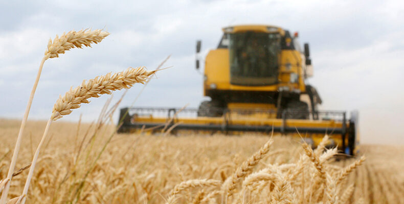 FAO Food Price Index: Dip in international prices of cereals, vegetable oils, sugar