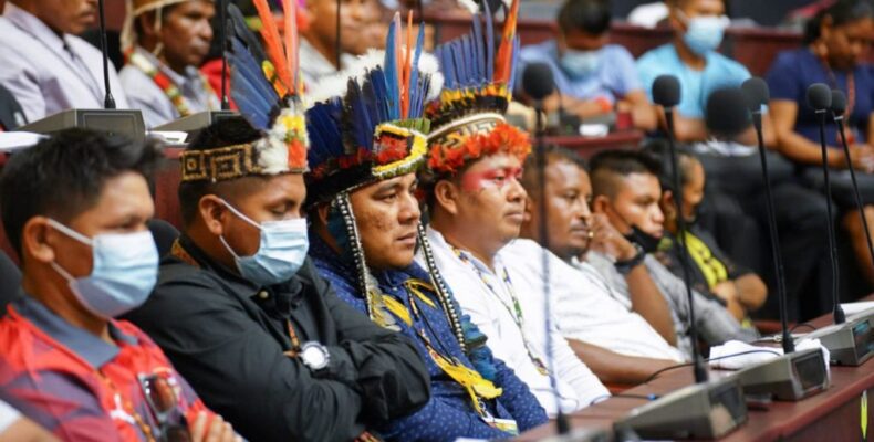Greater outreach part of plan to push indigenous people’s representation- new Toshaos’ Council Chairman