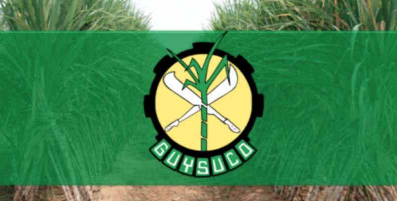 Wary GuySuCO concerned about strike and protest actions at Uitvlugt