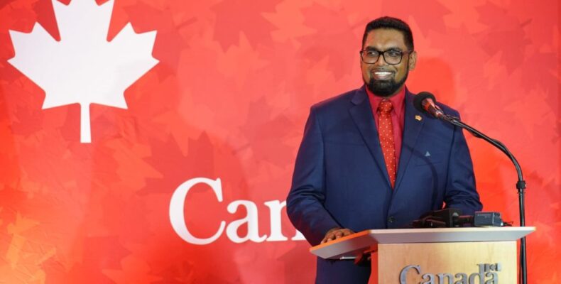 ‘No need for investors to engage middlemen or lobbyists’ – President Ali