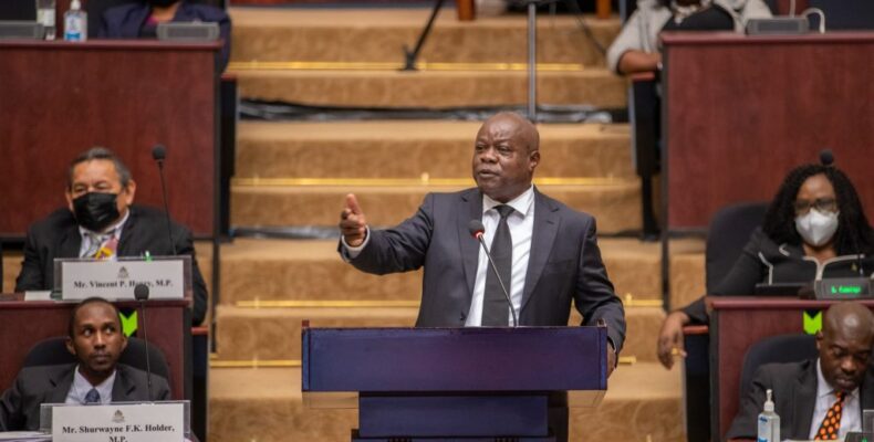 Government and Opposition need to work together to address cost-of-living woes -Norton