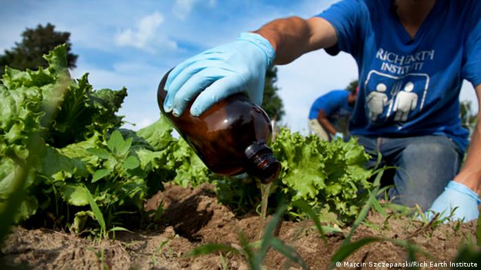 Farmers to begin receiving promised fertiliser assistance soon
