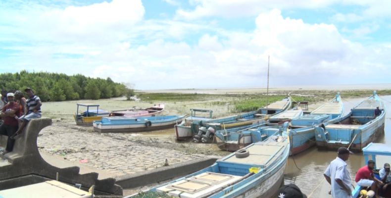 Fish catches on the increase – Minister Mustapha