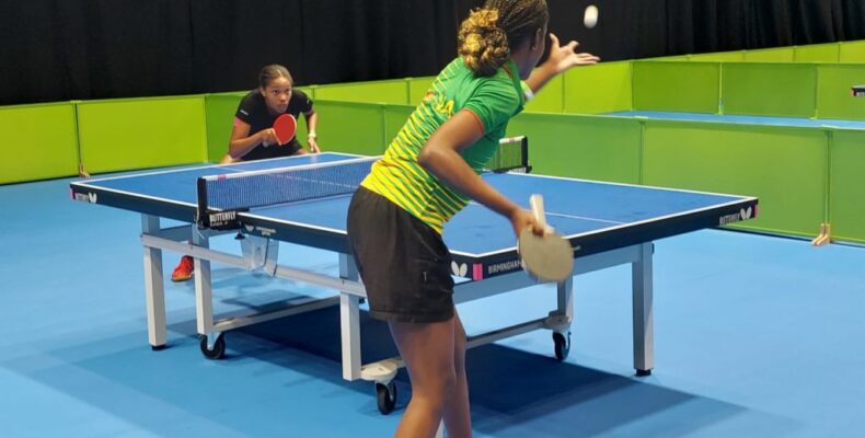 Commonwealth Games: Tough draw for Table Tennis team