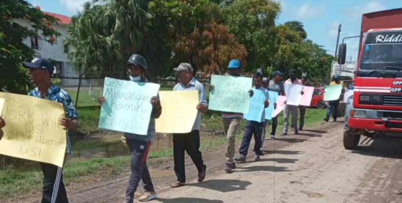 Albion Shop Stewards picket sugar estate over concerns about management
