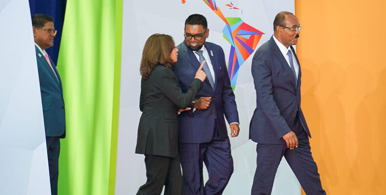 President Ali, VP Harris engage on food & energy security, development financing