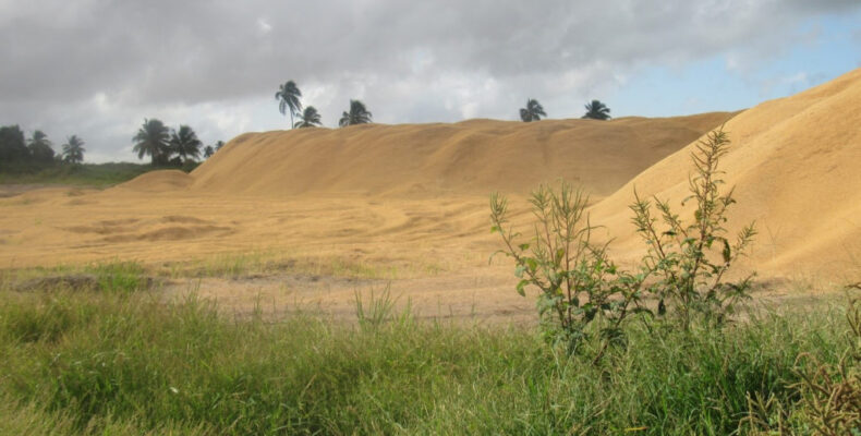 To prevent dust pollution, EPA monitoring air quality at rice mills