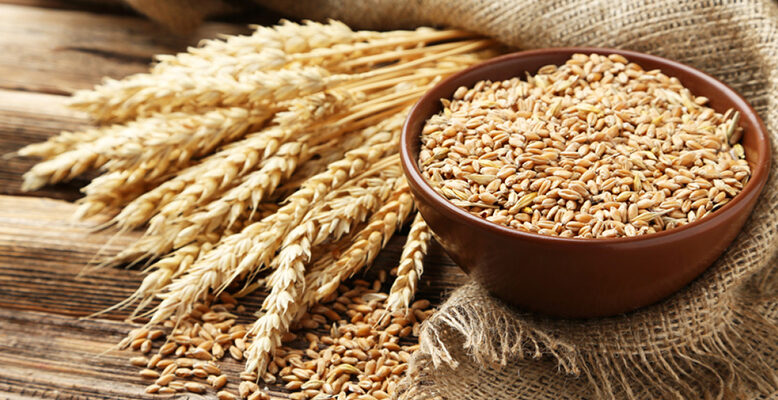 Global food commodity prices decline in July