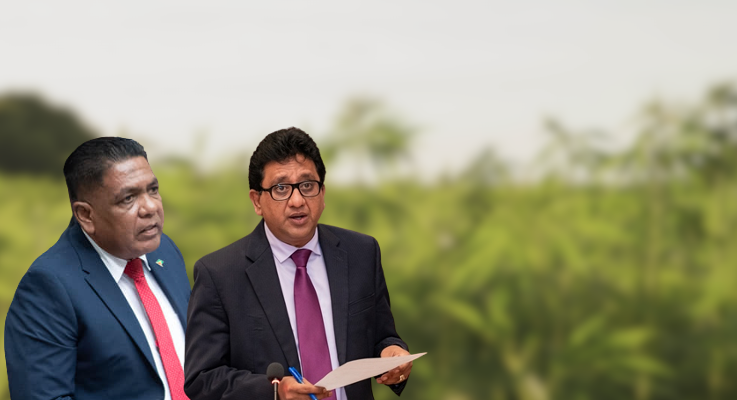 Guyana passes legislation to allow cultivation of industrial hemp with strict rules