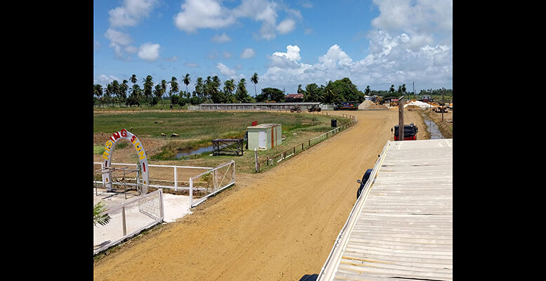 Stalls filled as Guyana Cup readies for horse-racing action today