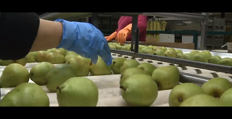 Food and agriculture trade
