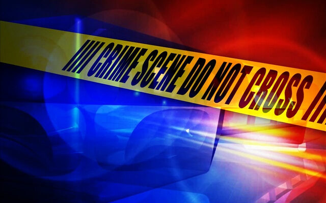 Venezuelan woman shot dead during row in interior region