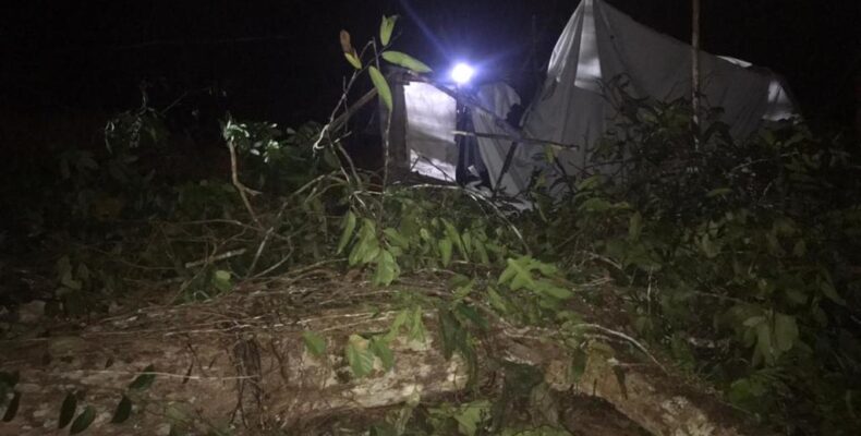 Berbice Businessman dies after pinned by fallen tree