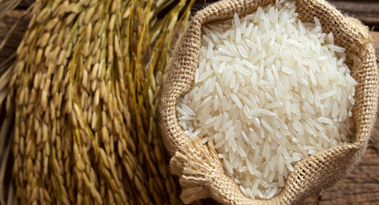 Rice exported from Guyana free of pesticides – Agri Minister asserts amid EU concerns