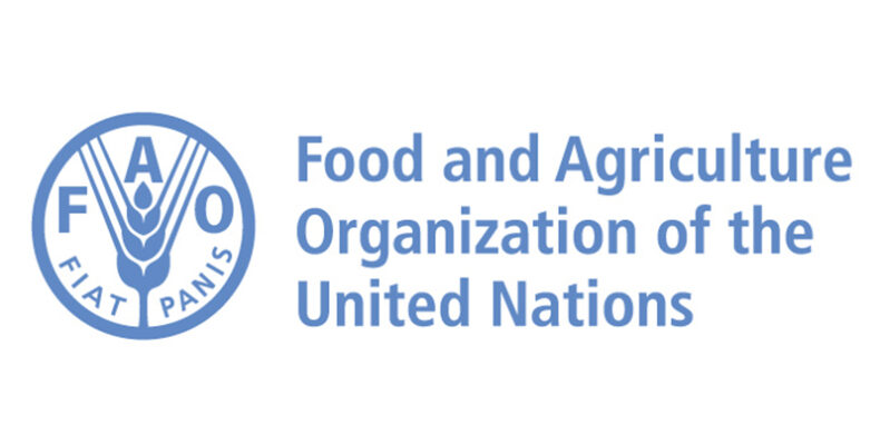 Local farmers’ organisations seek to strengthen smallholder producers’ sector