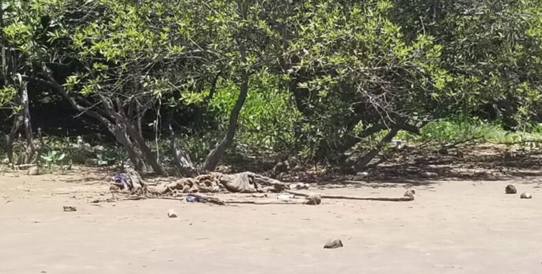 Skeletal remains found on Eversham foreshore