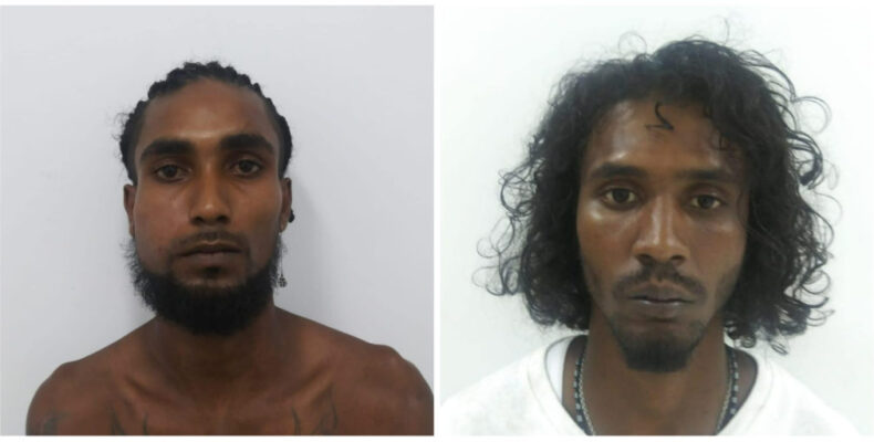 ‘Chowmein’ and ‘Max’ plead guilty on break and enter charges